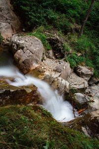 Scenic view of waterfall in forest