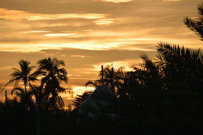 Silhouette palm trees against sky during sunset