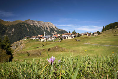 Swiss mountain village,  latsch, gr