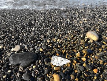 Close-up of seashells on pebbles at beach