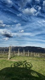 Scenic view of field against sky