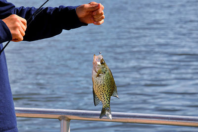 Close-up of hand holding fish against lake