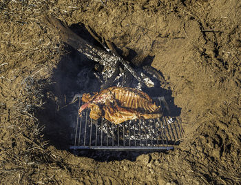 High angle view of meat on barbecue grill