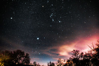 Low angle view of silhouette trees against sky at night