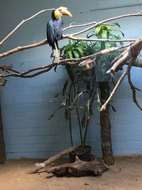 Bird perching on tree