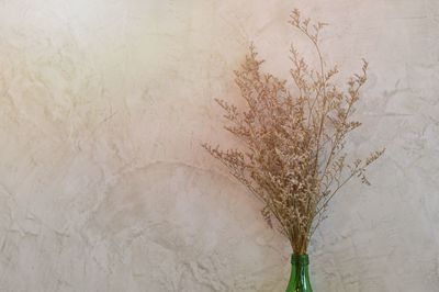 Close-up of white paint against wall