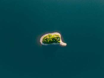 High angle view of ship sailing in sea
