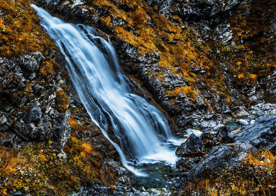 Scenic view of waterfall in forest