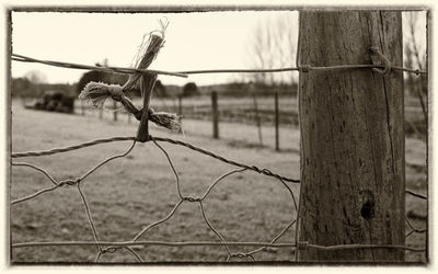 Close-up of barbed wire against sky