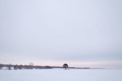 Scenic view of snow covered field against clear sky