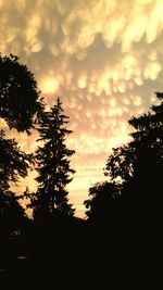 Silhouette of trees against cloudy sky