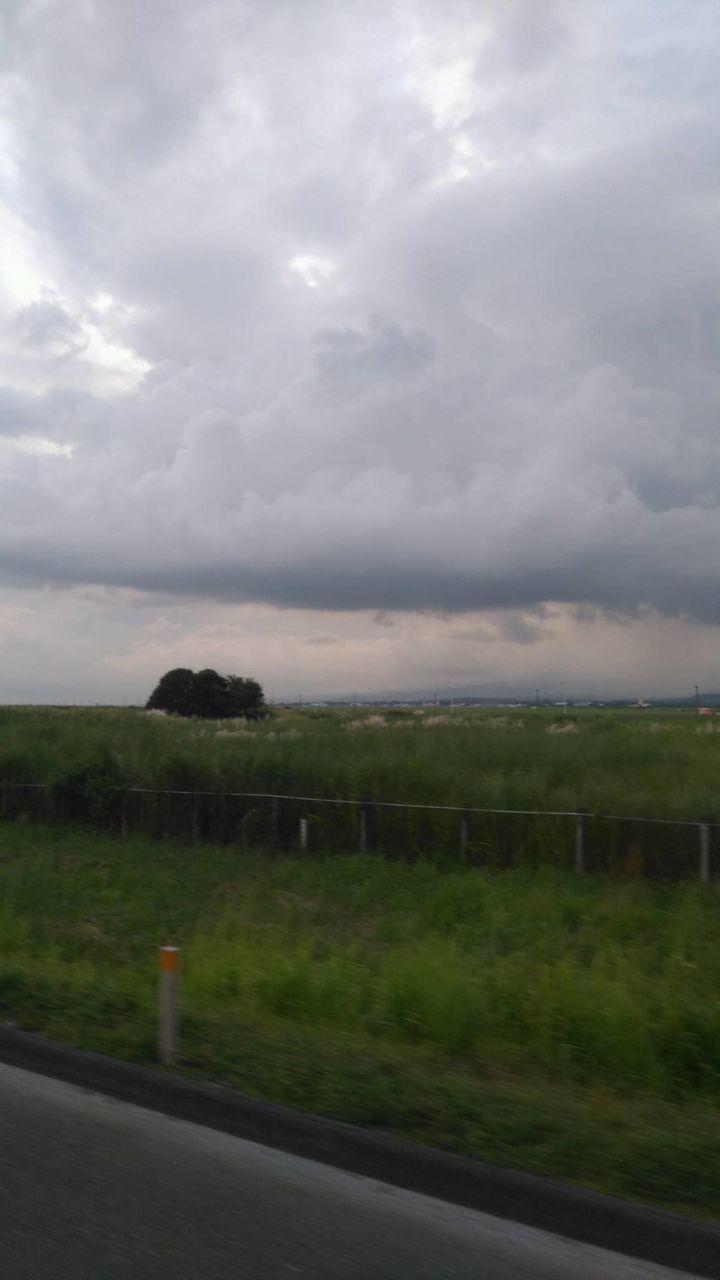 TREES ON FIELD AGAINST CLOUDY SKY