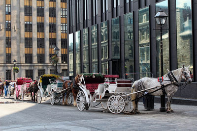 Horse carts on city street