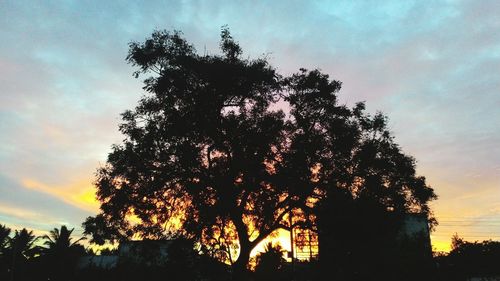 Low angle view of silhouette trees against sky