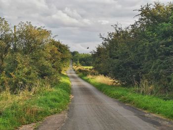 Empty road along trees and plants against sky