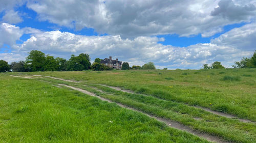 Scenic view of field against sky