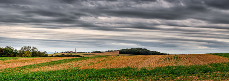 Scenic view of agricultural field against sky