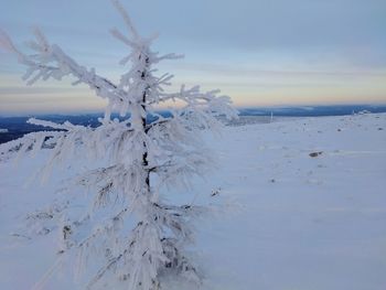 Scenic view of snow covered land against sky