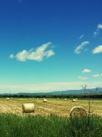 Scenic view of field against cloudy sky