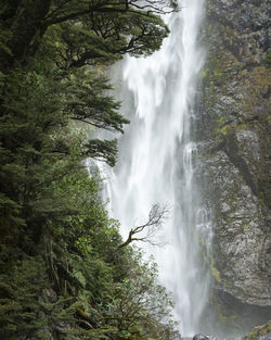 Scenic view of waterfall in forest