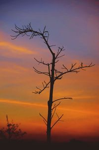 Silhouette bare tree against sky during sunset