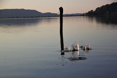 Scenic view of lake