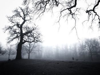 Bare trees on landscape against sky