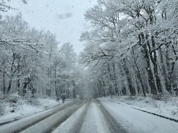 Road amidst trees against sky during winter