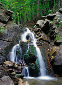 River flowing through rocks in forest