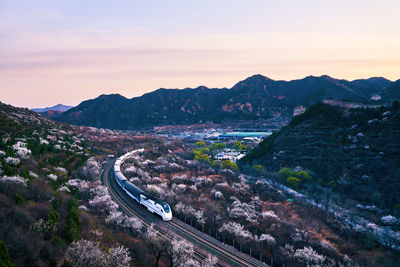 High angle view of the train view at sunset in the peach blossom forest in spring