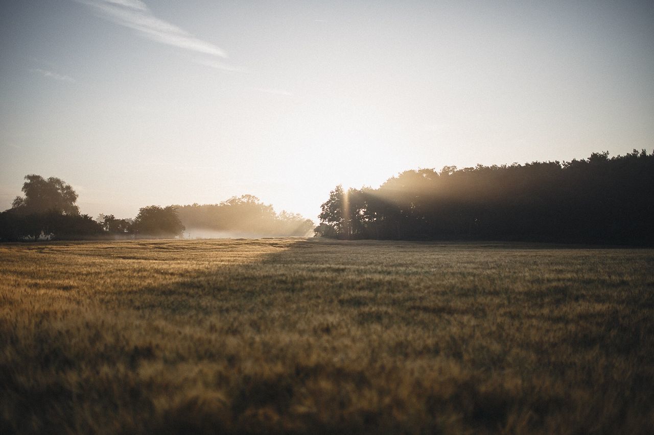 sunset, nature, beauty in nature, field, sunlight, landscape, scenics, no people, outdoors, sky, tranquility, silhouette, growth, agriculture, grass, day, hay bale