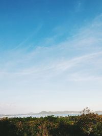 Scenic view of landscape against blue sky