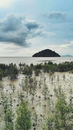 Scenic view of sea against sky