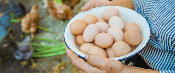 Midsection of senior woman holding eggs in bowl