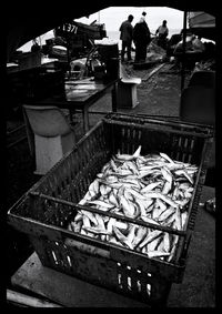 View of fish for sale at market stall