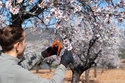 Side view of young woman holding cherry blossom