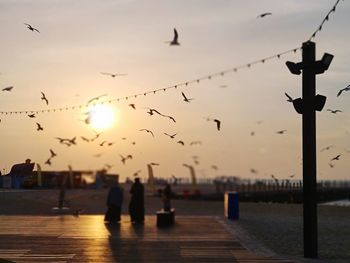 Silhouette birds flying against sky during sunset