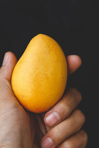 Close-up of hand holding apple against black background