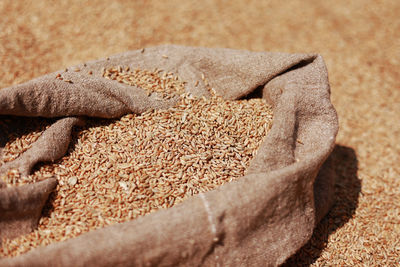 Close-up of bread