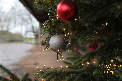 Close-up of christmas decoration hanging on tree