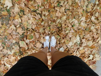 Low section of woman standing by autumn leaves