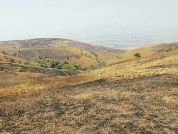 Scenic view of landscape