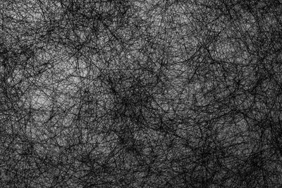 Full frame shot of bare tree