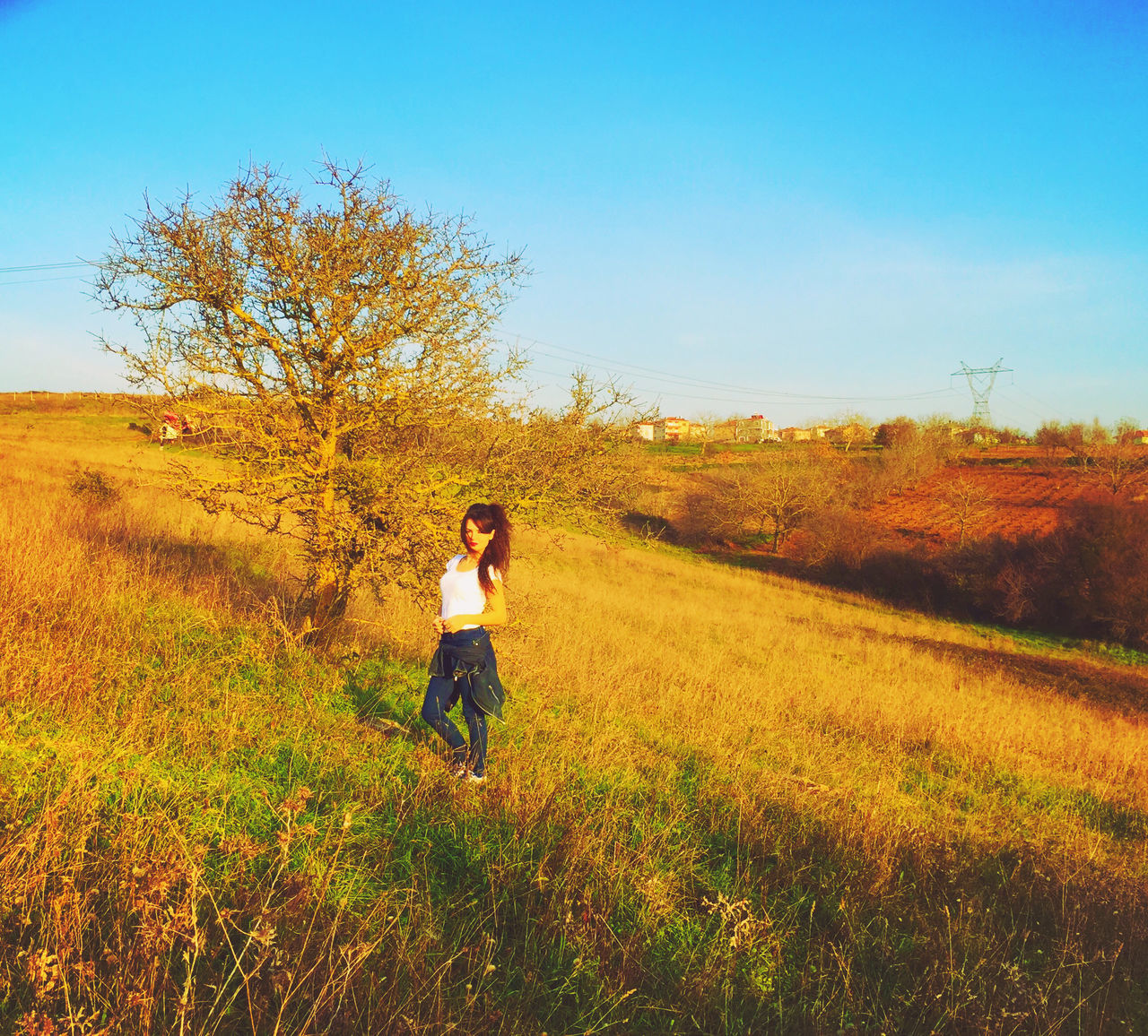 lifestyles, leisure activity, full length, clear sky, field, rear view, grass, landscape, casual clothing, tree, standing, tranquility, nature, tranquil scene, beauty in nature, growth, person, men