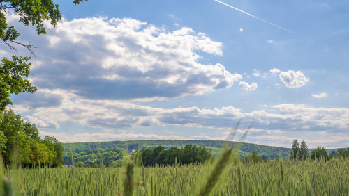 Scenic view of field against sky