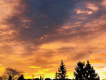 Low angle view of silhouette trees against sky at sunset