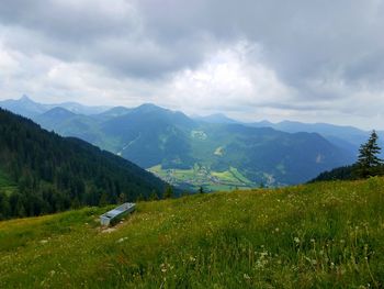 Scenic view of field against sky