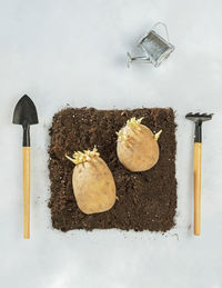 High angle view of food on table against white background