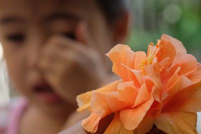 Close-up of rose against blurred background