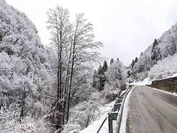 Snow covered road by trees against sky